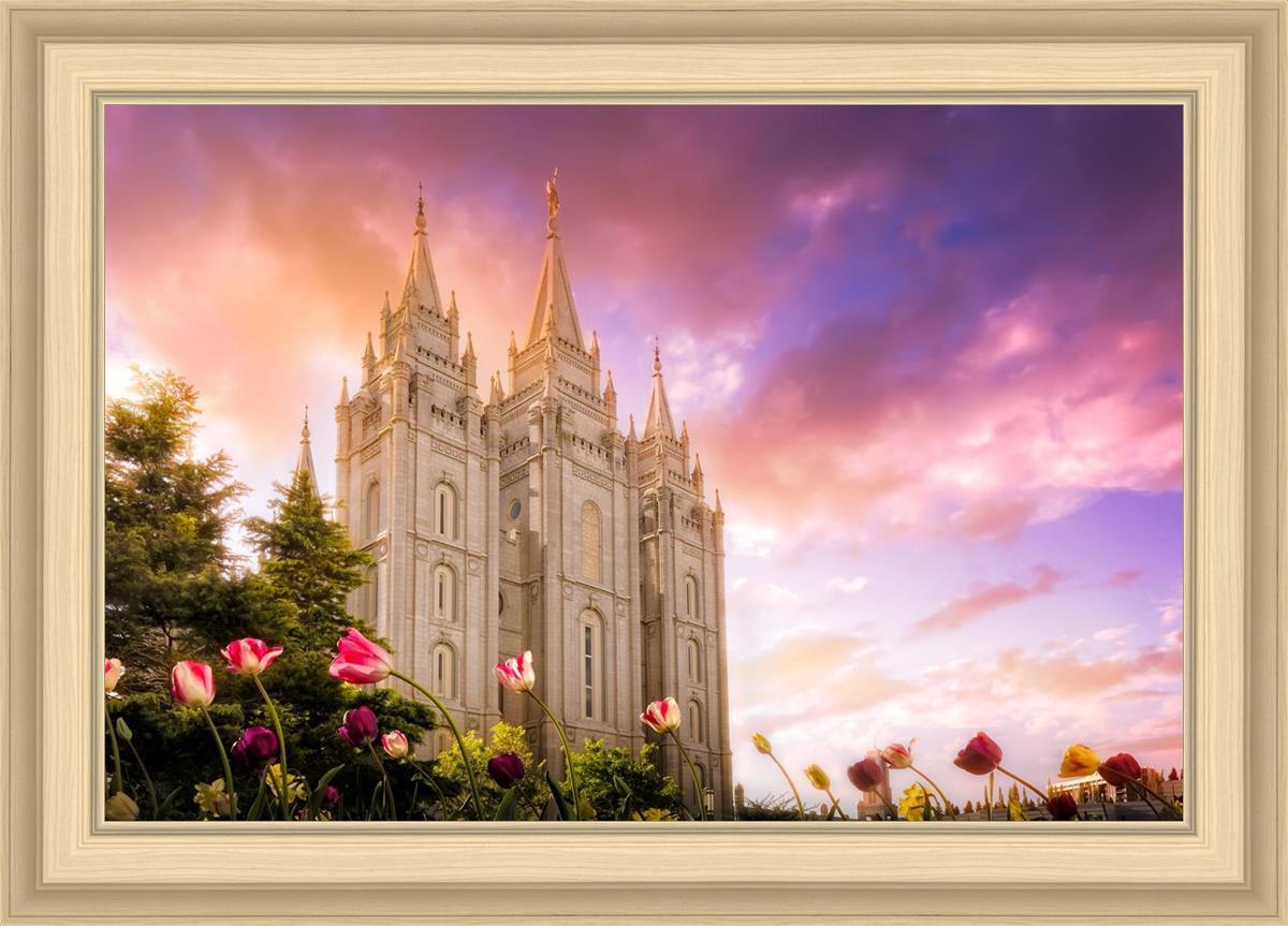 Salt Lake Tulips