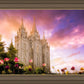 Salt Lake Tulips