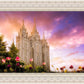 Salt Lake Tulips