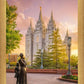 Salt Lake Maternal Reflection