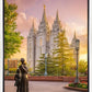 Salt Lake Maternal Reflection