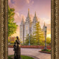 Salt Lake Maternal Reflection