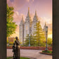 Salt Lake Maternal Reflection
