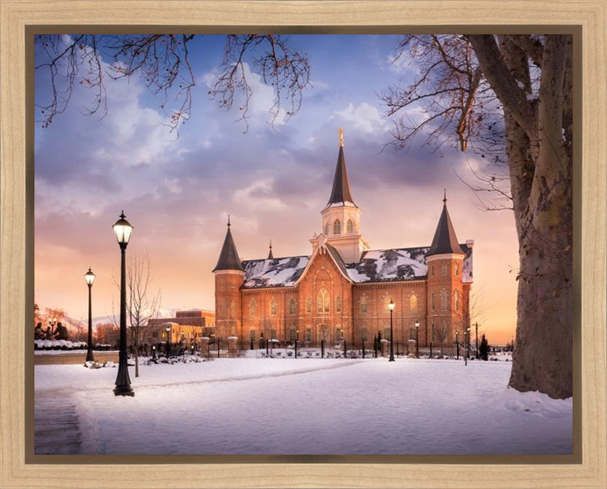 Provo CC, Winter Wonderland Gallery Wrap