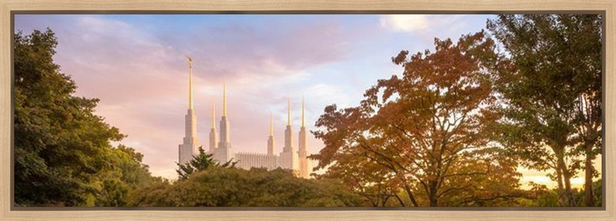 Washington DC Sunset Gallery Wrap