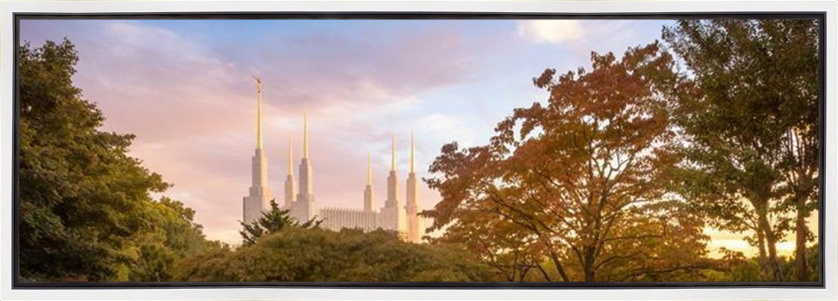 Washington DC Sunset Gallery Wrap