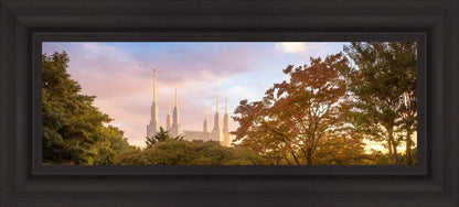 Washington DC Sunset