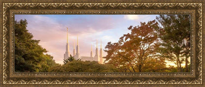 Washington DC Sunset