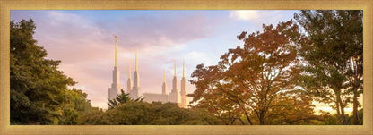 Washington DC Sunset