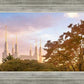 Washington DC Sunset