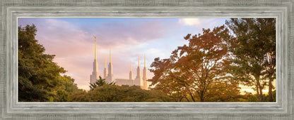 Washington DC Sunset