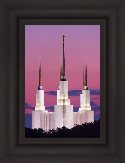 Washington DC Sunset Glow