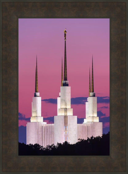 Washington DC Sunset Glow