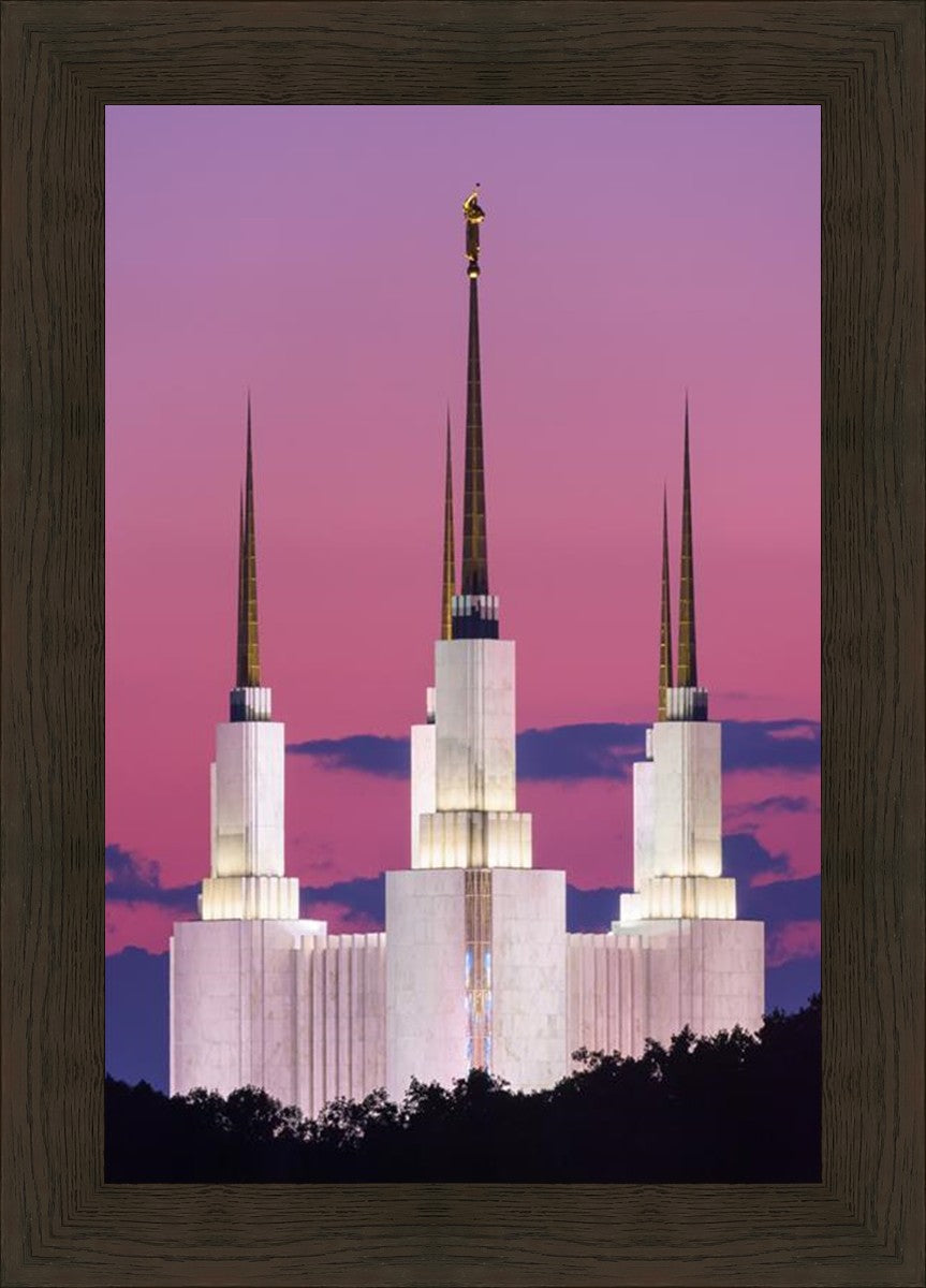 Washington DC Sunset Glow