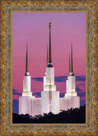 Washington DC Sunset Glow