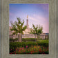 Spokane Flowers