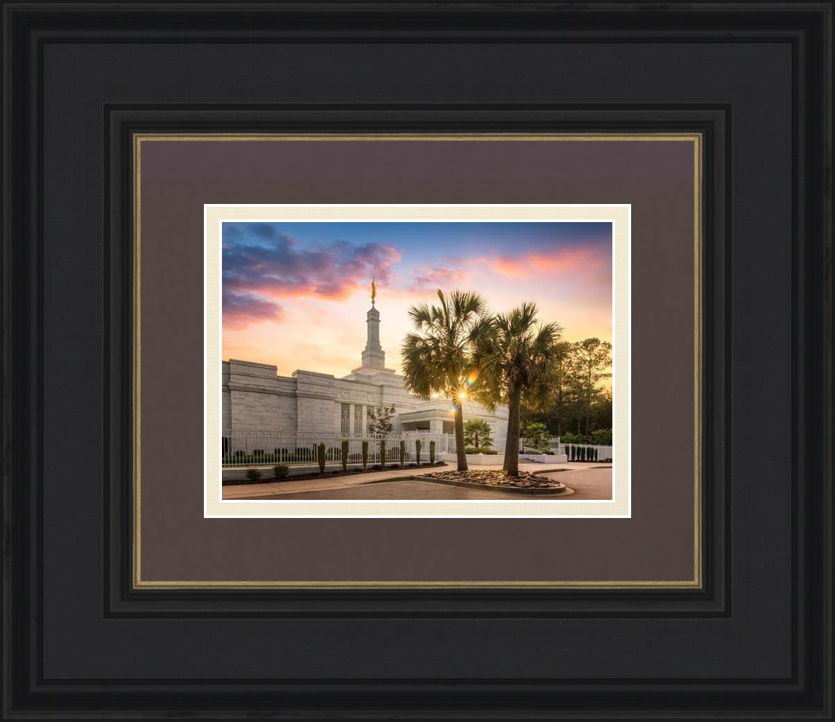 Columbia Palmetto Sunset
