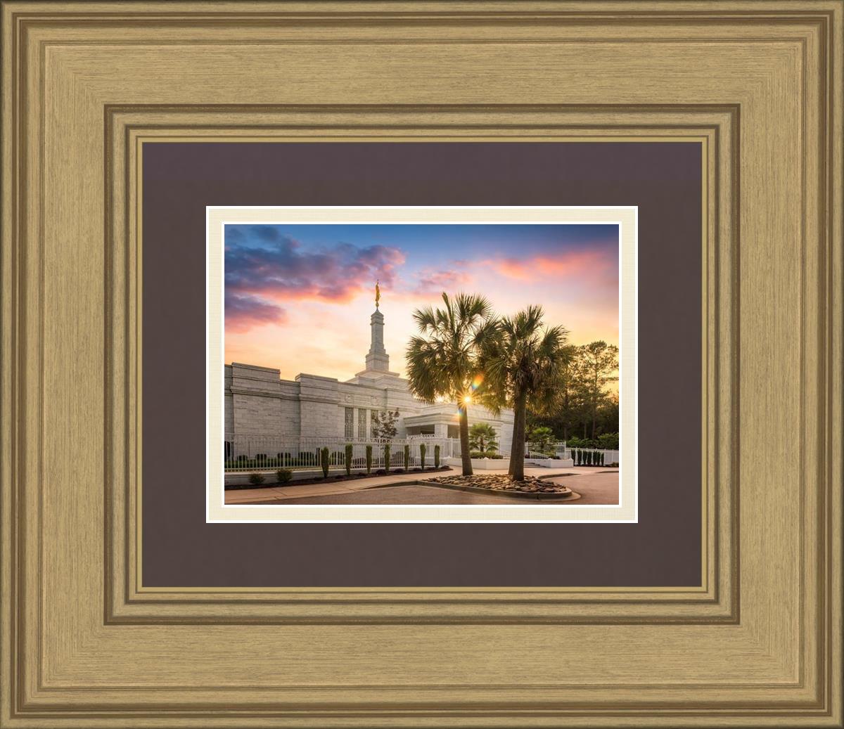 Columbia Palmetto Sunset