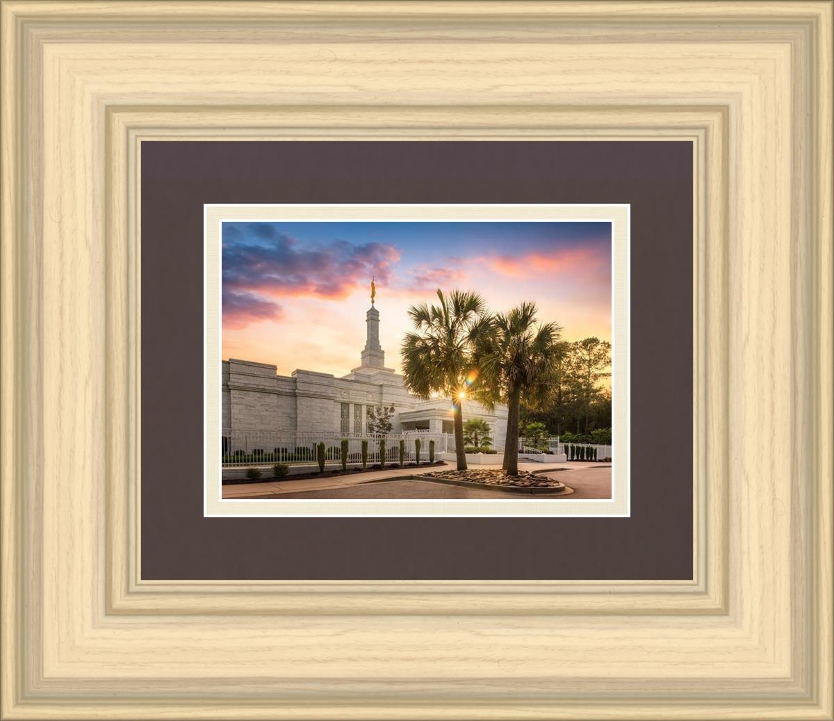 Columbia Palmetto Sunset