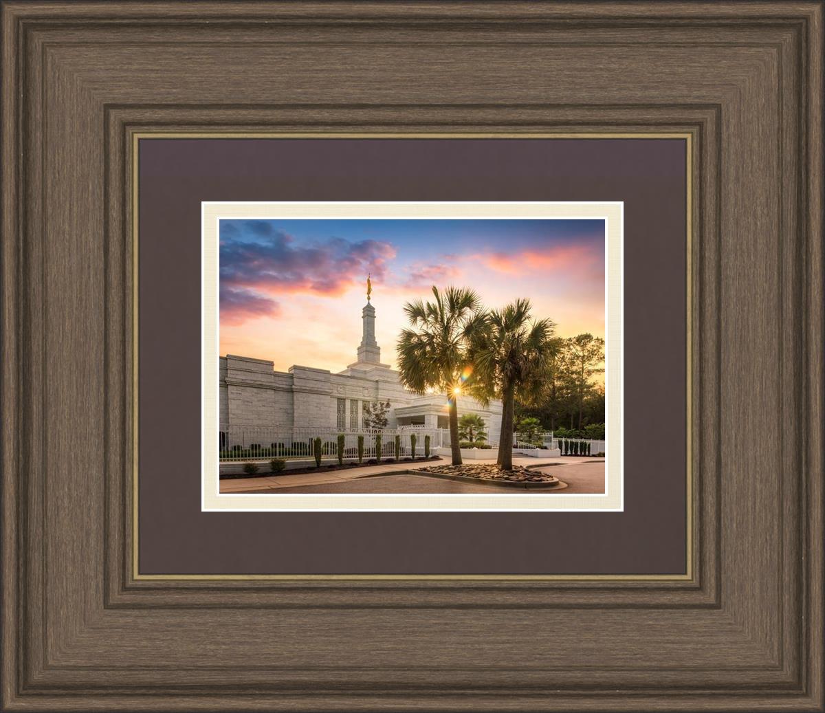 Columbia Palmetto Sunset