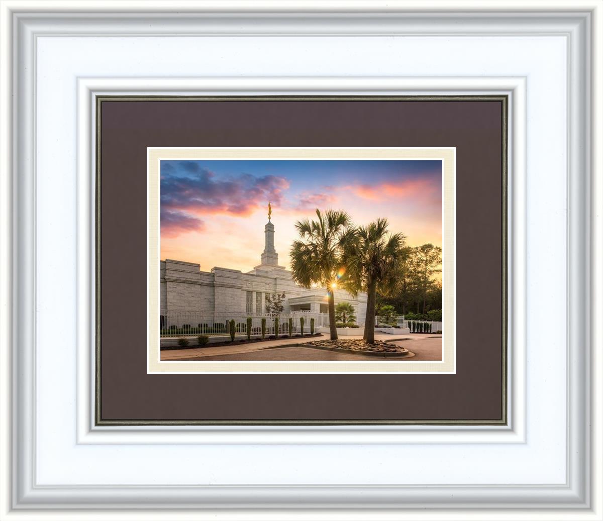 Columbia Palmetto Sunset