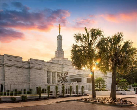 Columbia Palmetto Sunset Gallery Wrap
