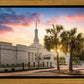 Columbia Palmetto Sunset