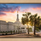 Columbia Palmetto Sunset