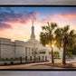 Columbia Palmetto Sunset