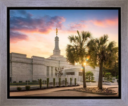 Columbia Palmetto Sunset