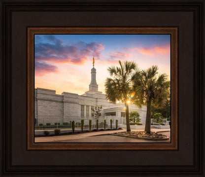Columbia Palmetto Sunset
