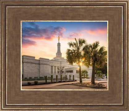 Columbia Palmetto Sunset