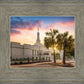 Columbia Palmetto Sunset