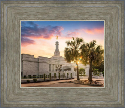 Columbia Palmetto Sunset