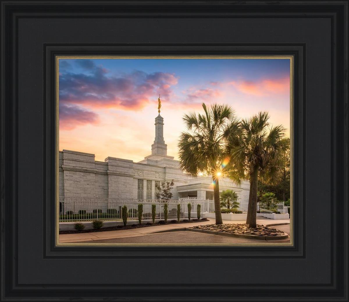 Columbia Palmetto Sunset