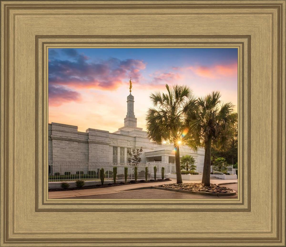 Columbia Palmetto Sunset