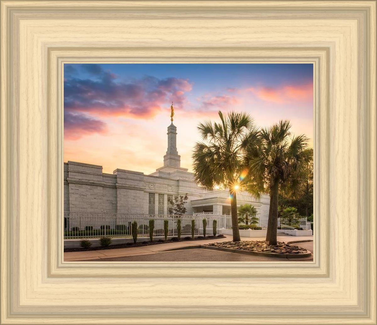 Columbia Palmetto Sunset