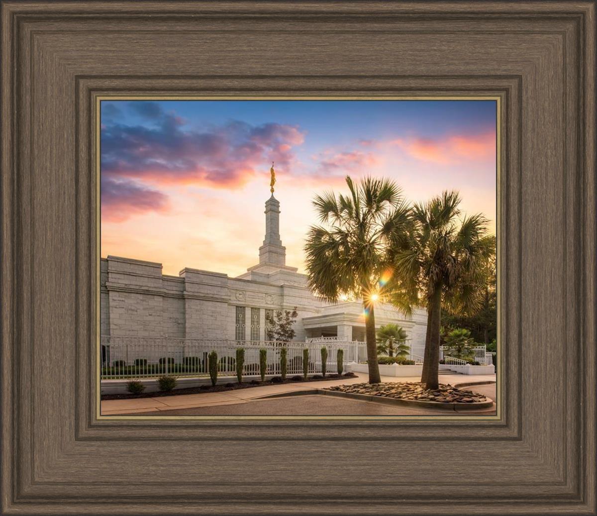 Columbia Palmetto Sunset