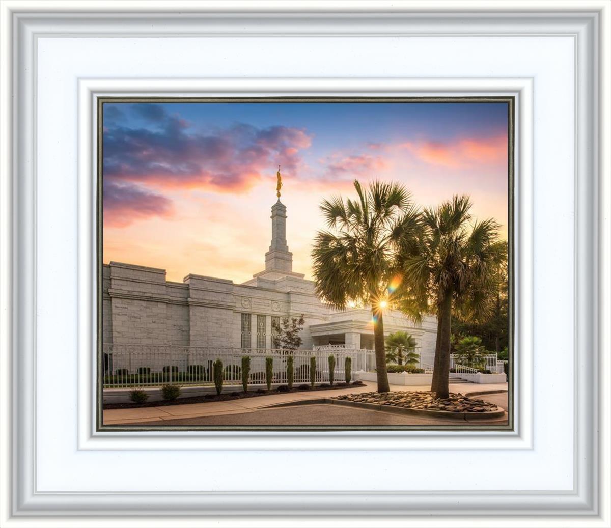 Columbia Palmetto Sunset