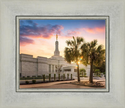 Columbia Palmetto Sunset