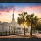 Columbia Palmetto Sunset