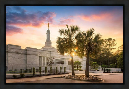 Columbia Palmetto Sunset