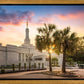 Columbia Palmetto Sunset