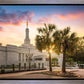 Columbia Palmetto Sunset
