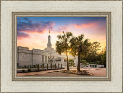 Columbia Palmetto Sunset