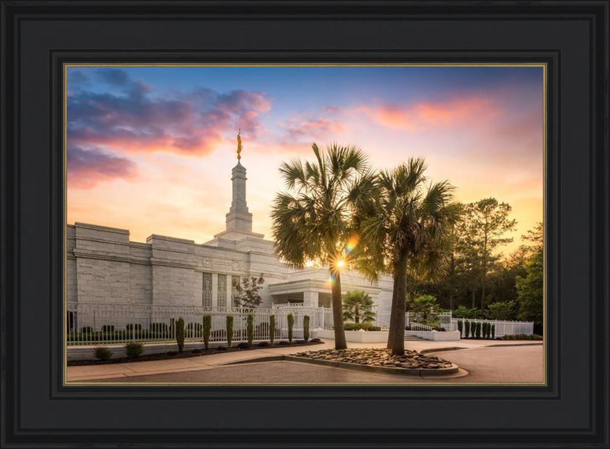Columbia Palmetto Sunset