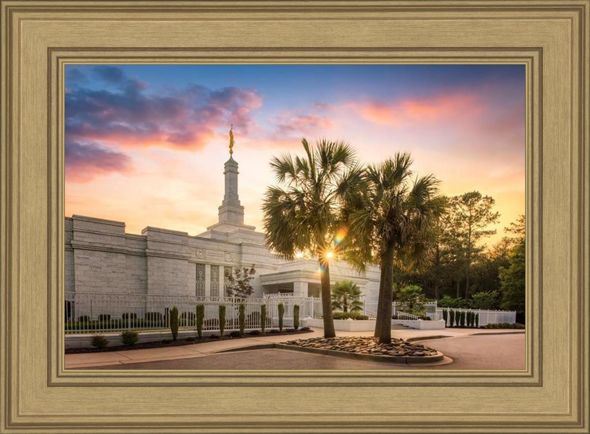 Columbia Palmetto Sunset