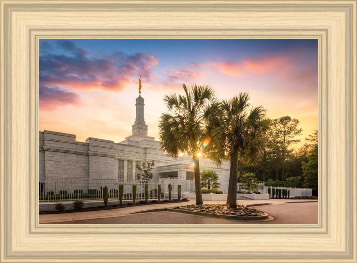 Columbia Palmetto Sunset