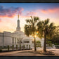 Columbia Palmetto Sunset