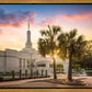 Columbia Palmetto Sunset